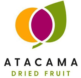 ATACAMA DRIED FRUIT logo