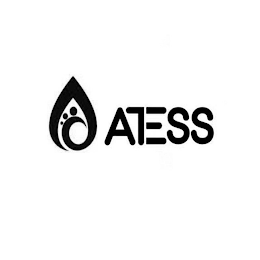 ATESS logo