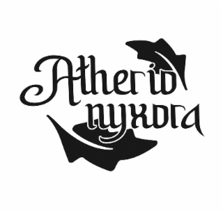 ATHERIO NYXORA logo