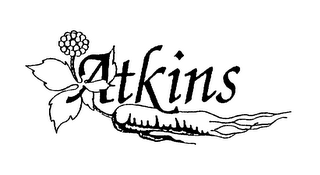ATKINS logo