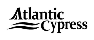 ATLANTIC CYPRESS logo