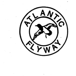 ATLANTIC FLYWAY logo