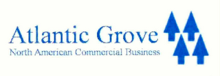ATLANTIC GROVE NORTH AMERICAN COMMERCIAL BUSINESS logo