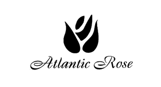 ATLANTIC ROSE logo
