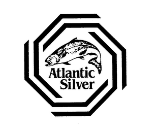 ATLANTIC SILVER logo