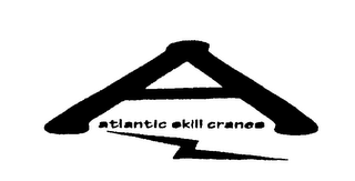 ATLANTIC SKILL CRANES logo