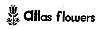 ATLAS FLOWERS logo