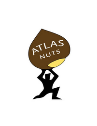 ATLAS NUTS logo