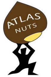 ATLAS NUTS logo