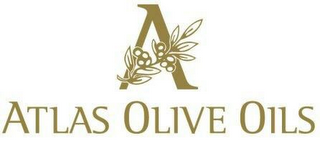 ATLAS OLIVE OILS logo