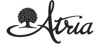 ATRIA logo