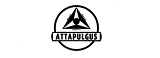 ATTAPULGUS MINERALS ABSORBENTS CHEMICALS logo