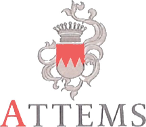 ATTEMS logo