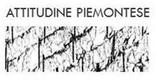 ATTITUDINE PIEMONTESE logo