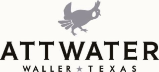 ATTWATER WALLER TEXAS logo