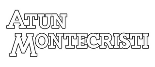 ATUN MONTECRISTI logo