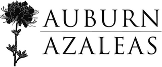 AUBURN AZALEAS logo