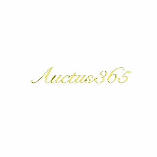 AUCTUS365 logo
