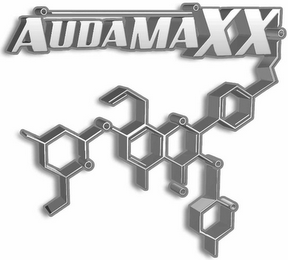 AUDAMAXX logo