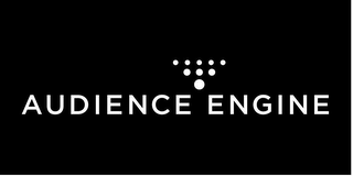 AUDIENCE ENGINE logo