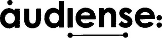 AUDIENSE logo