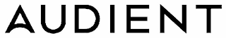 AUDIENT logo