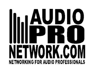 AUDIO PRO NETWORK.COM NETWORKING FOR AUDIO PROFESSIONALS logo