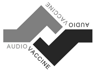 AUDIO VACCINE logo