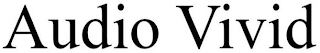 AUDIO VIVID logo