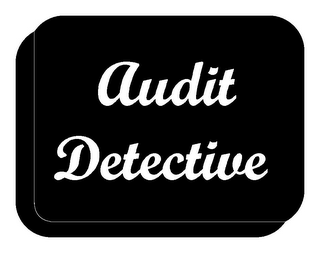 AUDIT DETECTIVE logo