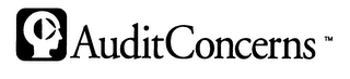 AUDITCONCERNS logo