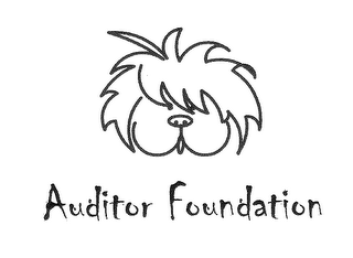 AUDITOR FOUNDATION logo