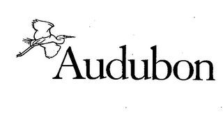 AUDUBON logo