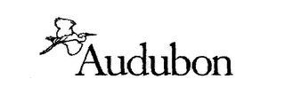 AUDUBON logo