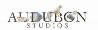 AUDUBON STUDIOS logo