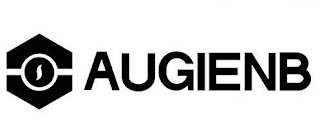 AUGIENB logo