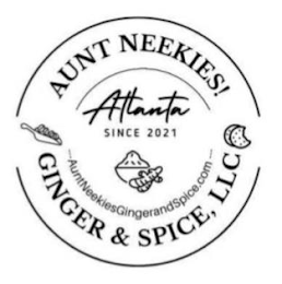 AUNT NEEKIES! ATLANTA SINCE 2021 AUNTNEEKIESGINGERANDSPICE.COM GINGER & SPICE, LLC logo