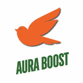 AURA BOOST logo