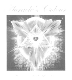 AURACLE'S COLOUR logo