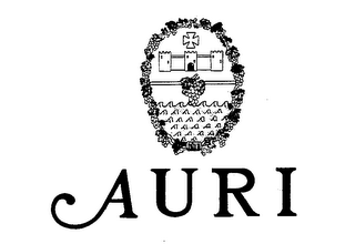 AURI logo