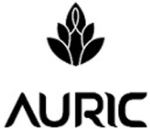 AURIC logo