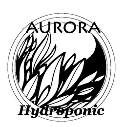 AURORA HYDROPONIC logo