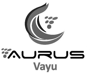AURUS VAYU logo