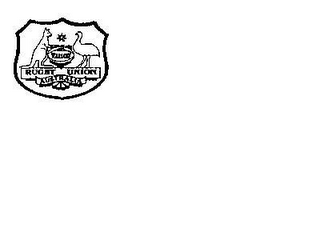 AUSTRALIA RUGBY UNION logo