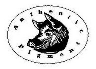 AUTHENTIC PIGMENT logo