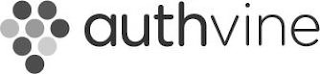 AUTHVINE logo