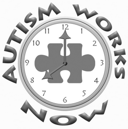 AUTISM WORKS NOW logo