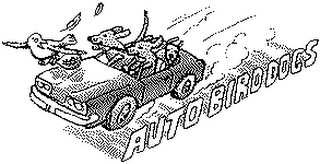 AUTO BIRD DOGS logo
