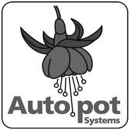 AUTO POT SYSTEMS logo