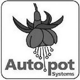 AUTO POT SYSTEMS logo